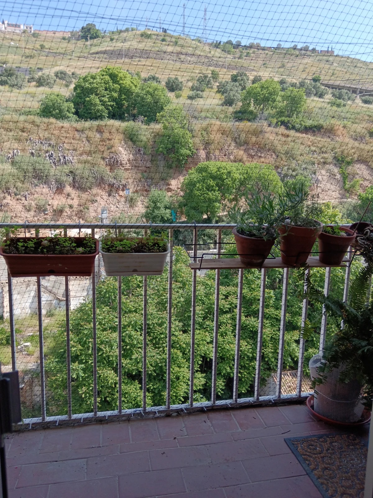 Terraza del piso con barandilla, macetas y vistas hacia una ladera arbolada.